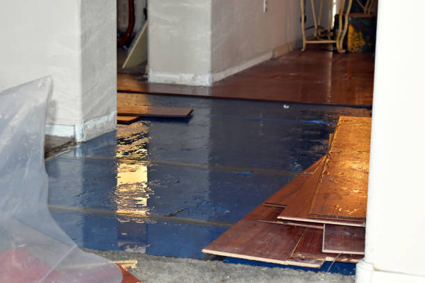 Professional Sewage Cleanup technician working in Natalia, TX